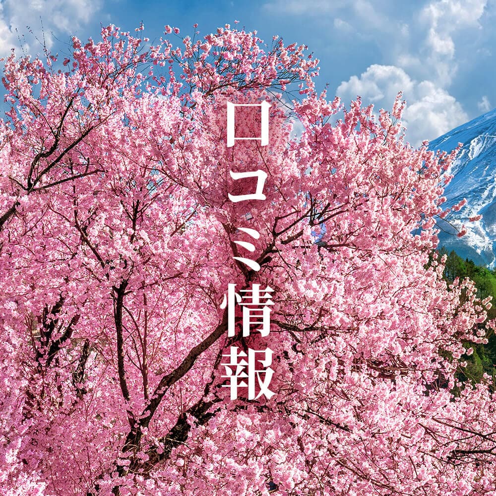 口コミ情報